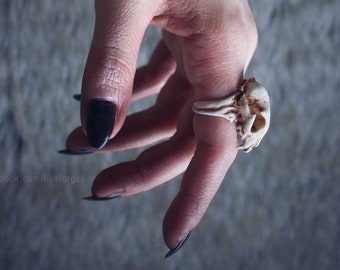 Teschio di Gatto anello, replica in resina dipinta a mano, dark gotico anello uomo, sciamano tribale
