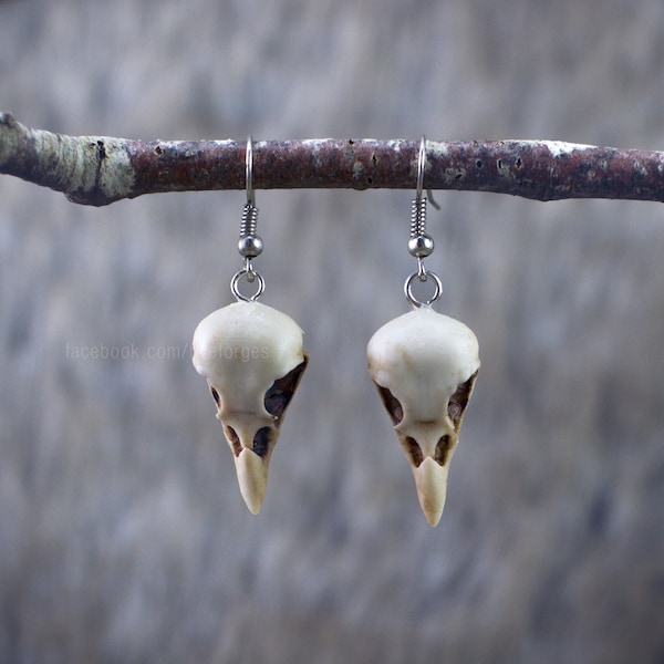 Crow skull pendant earrings, resin replica hand painted, gothic witch shaman