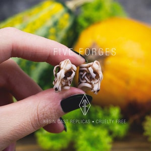 Wolf Skull bead for dreadlocks hair braiding and beard, resin replica hand painted