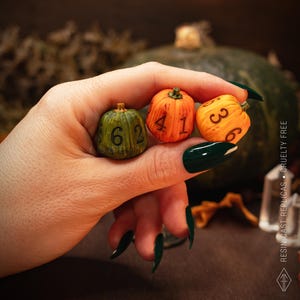 Può includere: Tre piccoli dadi a forma di zucca con numeri neri stampati sulle superfici. Il dado a sinistra è verde scuro con i numeri 6 e 2, quello centrale è arancione con 4 e 1, e quello a destra è arancione chiaro con i numeri 3 e 6.