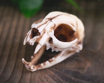 Katzenschädel Halskette, Kleine Größe, handbemalte Resin Replik, Gothic Tribal Hexe Schamane