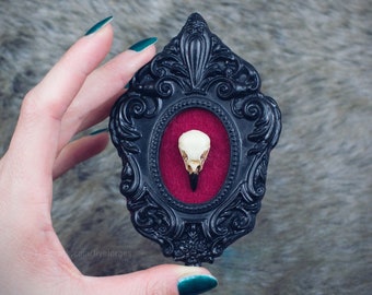 Crow skull miniature victorian frame, resin replica hand painted, gothic frame