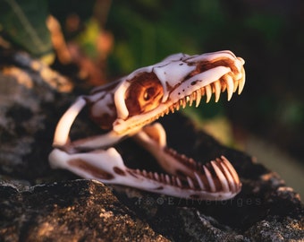 Snake skull necklace, resin replica hand painted, dark gothic shaman tribal wizard