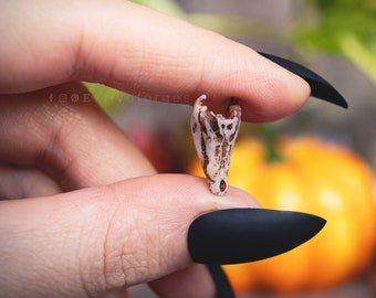 Crocodile skull miniature for dollhouse, Resin Animal Skull Specimen for Diorama, Gothic Decor, Curiosities Cabinet, Terrarium, BJD.