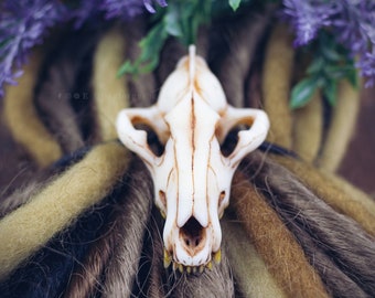 Wolf Skull elastic headband, resin replica hand painted, tribal gothic shaman dreadlocks