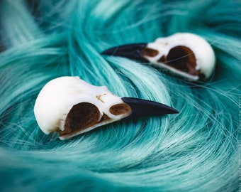 Crow skull Hair clip, resin replica hand painted, dark viking gothic shaman alternative wedding