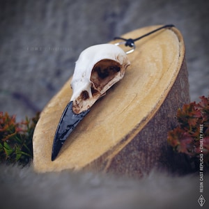 A replica white resin raven skull with a black beak, hanging from a black cord. The skull is on a wooden surface. Gothic witchy style necklace, perfect gift for alternative style.