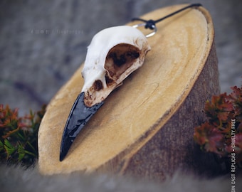 Crow Skull necklace, resin replica hand painted, shaman tribal gothic jewels
