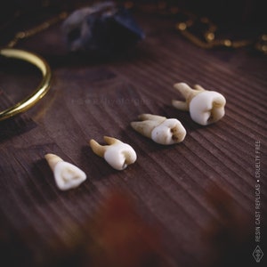 Human teeth beads oddities and curiosities, resin replica hand painted, macabre dark spooky