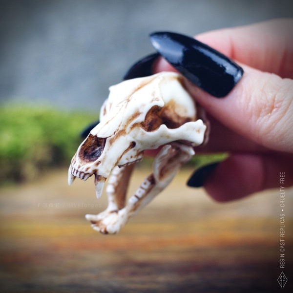 Bear Skull with moving jaw necklace, resin replica hand painted, shaman tribal viking