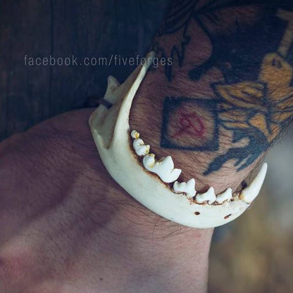 Fox jaw adjustable bracelet, resin replica hand painted, shaman tribal larp