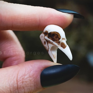 Crow Skull bead for dreadlocks hair braiding and beard, resin replica hand painted