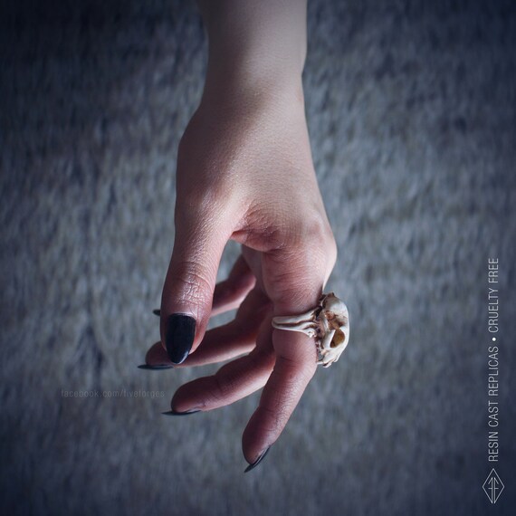 Cat 2024 skull ring