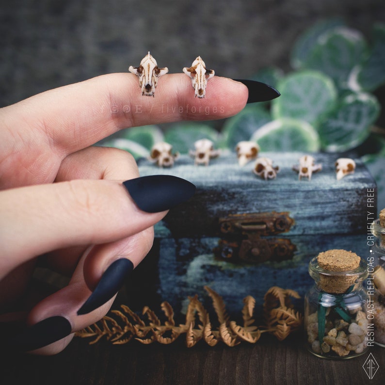 Animal skull miniatures for dollhouse, creepy accessories, BJD purpose, oddities and curiosities set, gothic horror image 5