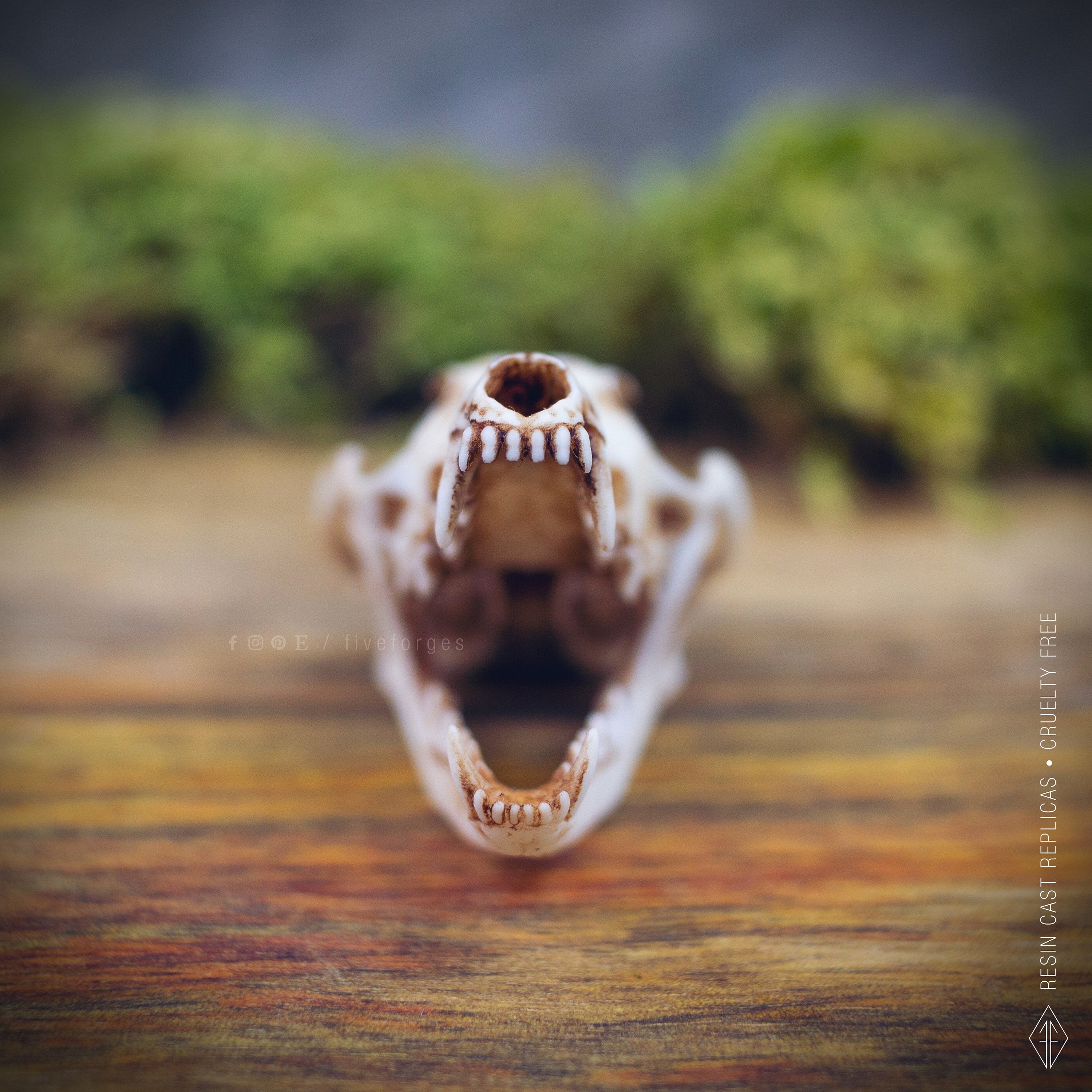 Real Raven Skull & Fox Vertebrae Bone Necklace – Handmade Gothic Jewelry, Pendant #12