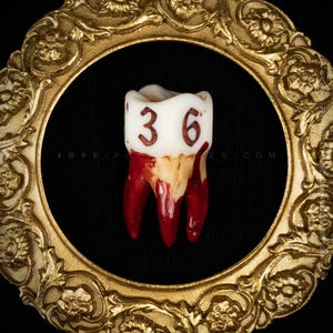 Handcrafted D6 dice shaped like a realistic human molar tooth with aged bone texture and dark gothic numbers. Showing the differet colors available: Bloody.