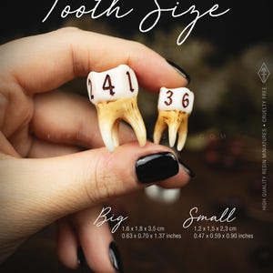 Handcrafted D6 dice shaped like a realistic human molar tooth with aged bone texture and dark gothic numbers. Showing the differet sizes available, big and small.