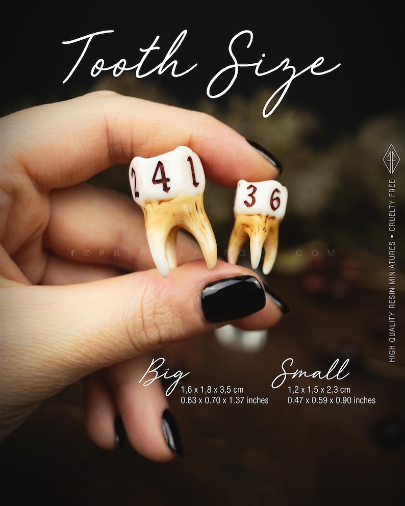 Handcrafted D6 dice shaped like a realistic human molar tooth with aged bone texture and dark gothic numbers. Showing the differet sizes available, big and small.
