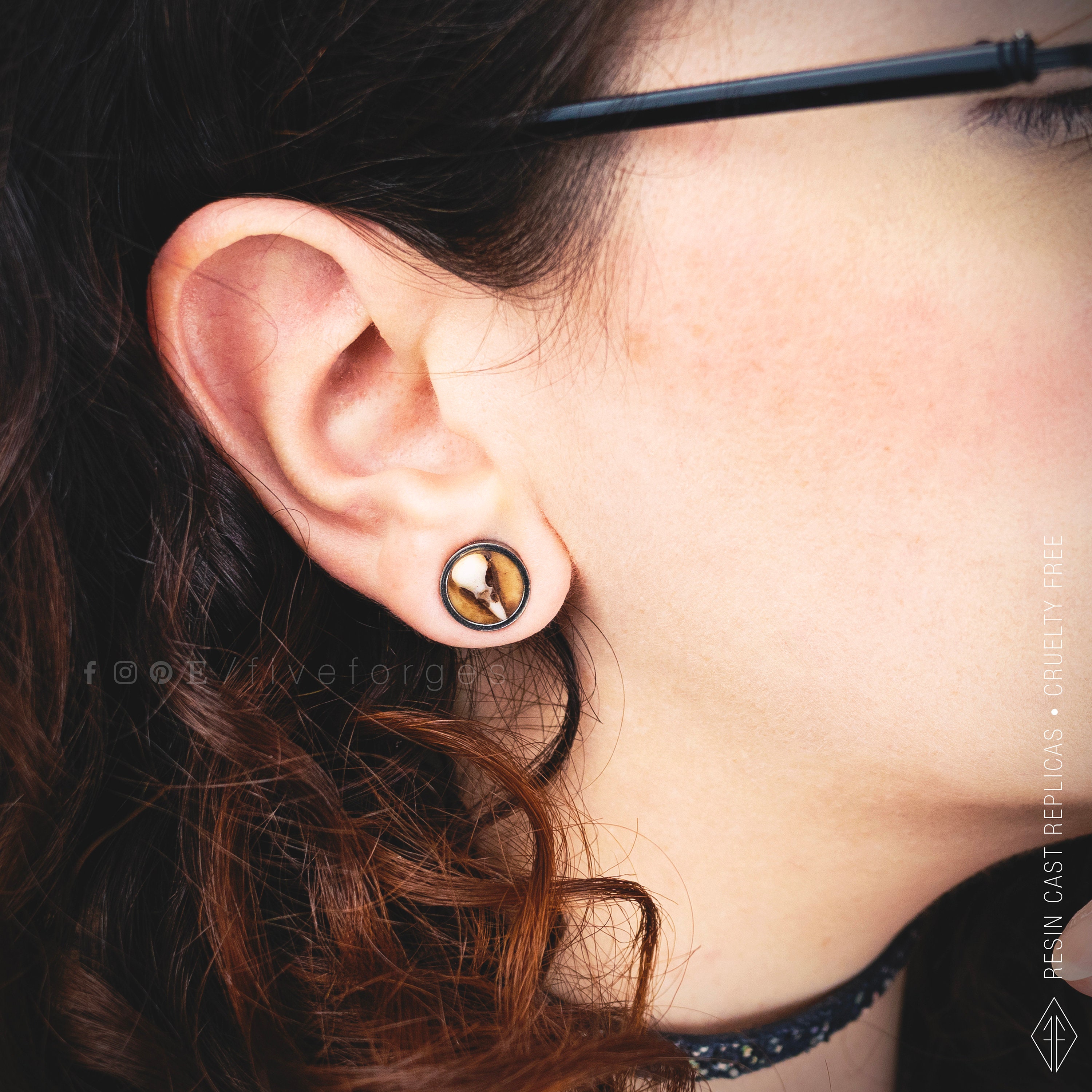 Plantas de la Abundancia: Descubre el Jade y su Significado Según el Feng  Shui, image size:3000x3000