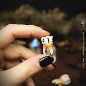 Handcrafted D6 dice shaped like a realistic human molar tooth with aged bone texture and dark gothic numbers