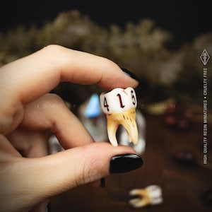 Handcrafted D6 dice shaped like a realistic human molar tooth with aged bone texture and dark gothic numbers