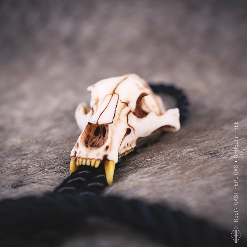 close-up of the bear skull bolo tie on a grey faux fur fabric, forest spirit jewelry, pagan and wiccan style accessory, unique gift for nature lovers.