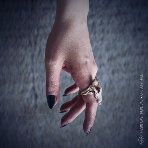 Wolf skull ring, resin replica hand painted, gothic shaman, gift for him, man ring