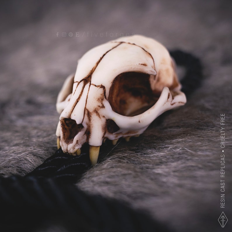 Cat skull bolo tie on a  grey faux fur fabric, oddities and curiosities gift, resin bone jewelry for dark academia and witchy style outfits.
