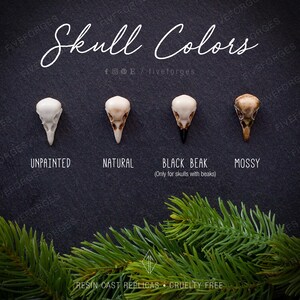 Skull colors available: unpainted, natural, black beak and mossy
