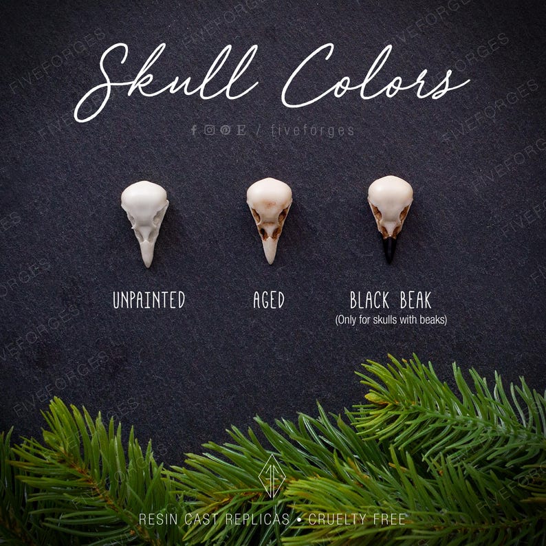 Skull colors available: unpainted, aged and black beak.