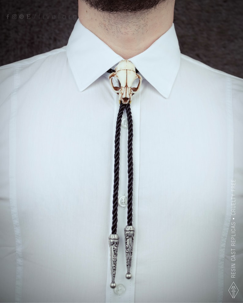 Cat skull bolo tie necklace on black braided cord, resin replica taxidermy jewelry for gothic wedding and western style, texan tie.
