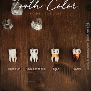 Handcrafted D6 dice shaped like a realistic human molar tooth with aged bone texture and dark gothic numbers. Showing the differet colors available, unpainted, black and white, aged and bloody.