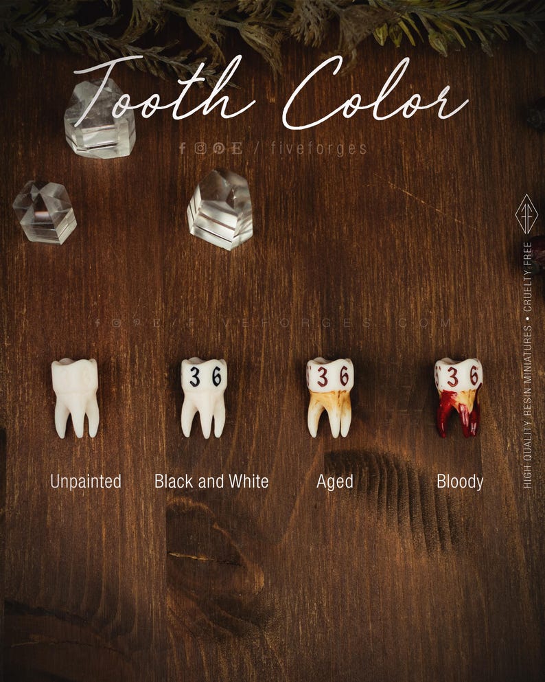Handcrafted D6 dice shaped like a realistic human molar tooth with aged bone texture and dark gothic numbers. Showing the differet colors available, unpainted, black and white, aged and bloody.