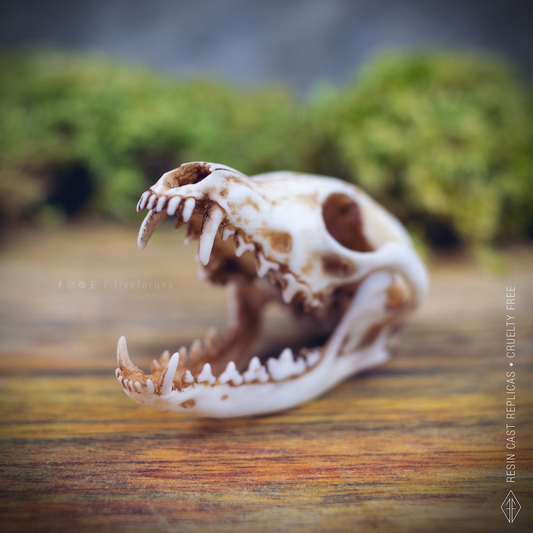 Fox Skull With Moving Jaw Necklace, Resin Replica Hand Painted