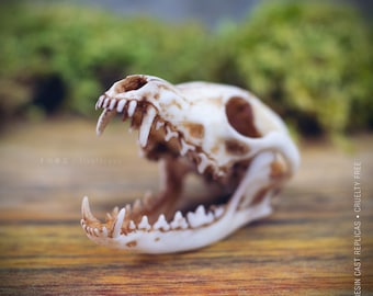 Fox skull with moving jaw necklace, resin replica hand painted, shaman gothic witch