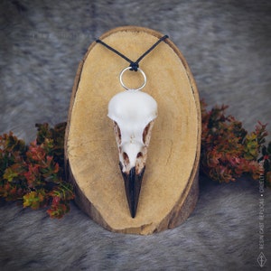 A replica white resin bird skull with a black beak, hanging from a black cord. The skull is on a wooden surface. Gothic witchy style necklace, perfect gift for alternative style.