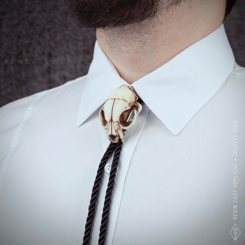 Cat skull bolo tie necklace on black braided cord, resin replica taxidermy jewelry for gothic wedding and western style, texan tie.