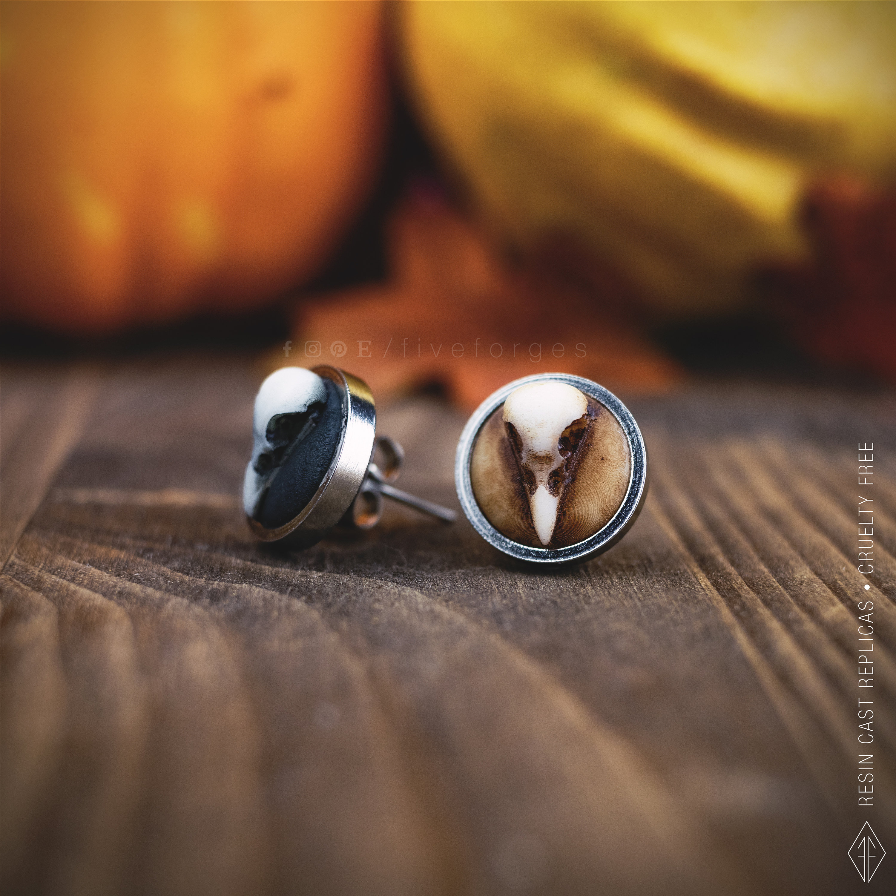 Peperomia almofada de alfinete!#suculentasbrasil | TikTok, image size:3000x3000