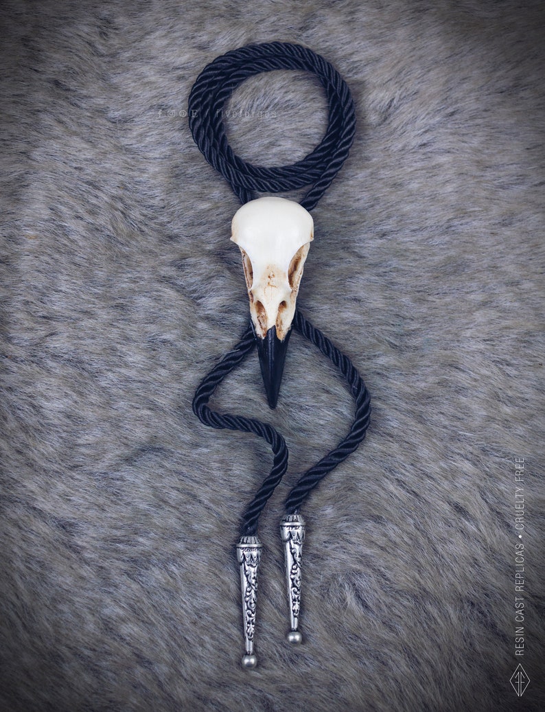Crow Skull Bolo Tie, resin replica hand painted, gothic steampunk texan native american image 5