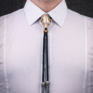 Realistic bear skull bolo tie worn on a white shirt, gothic wedding accessory, boho chic necktie for grooms, alternative taxidermy jewelry.