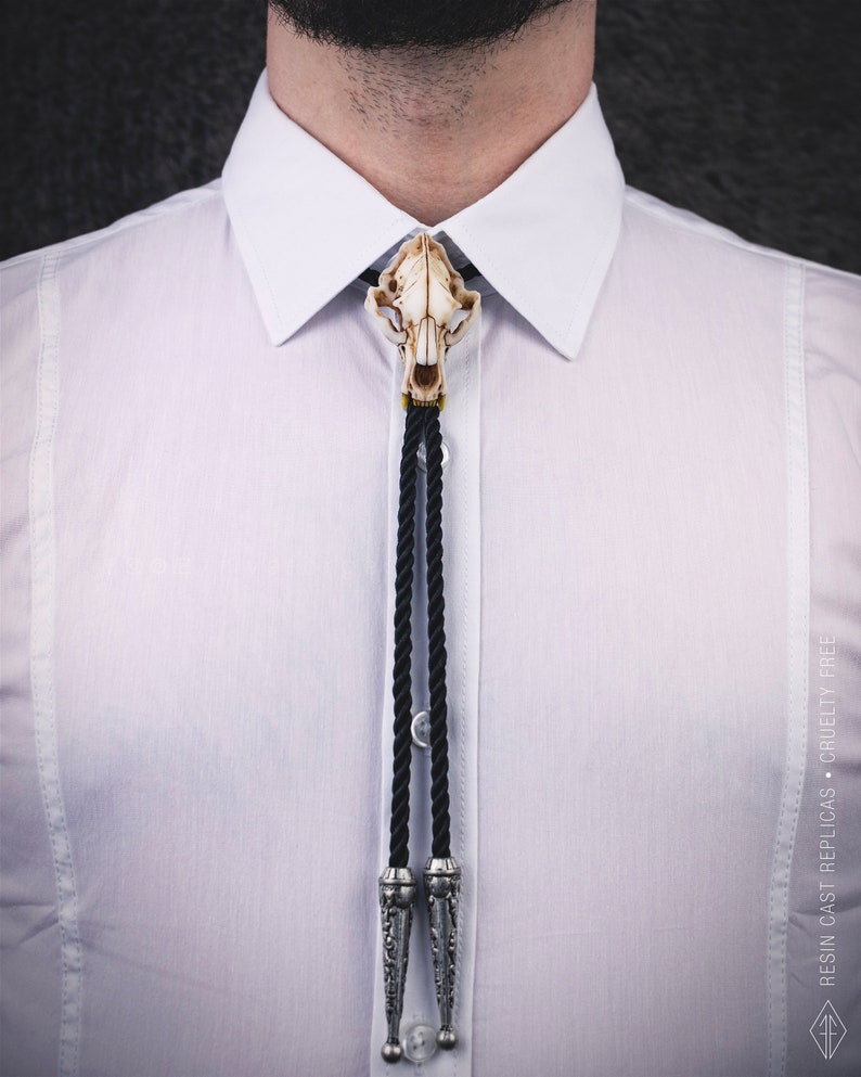 Realistic bear skull bolo tie worn on a white shirt, gothic wedding accessory, boho chic necktie for grooms, alternative taxidermy jewelry.
