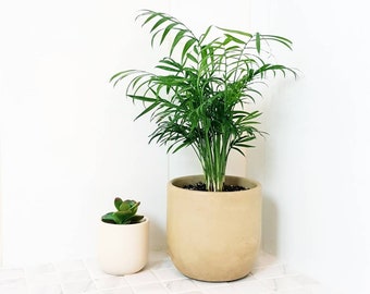 6 inch Concrete Planters | Indoor plant containers | Cache pot | Boho Modern | large | drainage holes | Minimalist | Coffee Table Decor