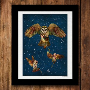 SANADORES DE LUZ, lámina artística de lechuza común, arte de animales espirituales imagen 3