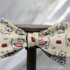 Kuschelige Katzen