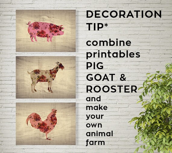Rooster Print Shabby Chic Farm Animal Poster Modern Rustic Etsy