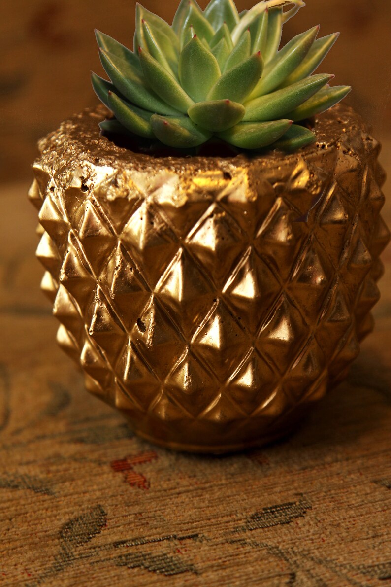 Concrete style pineapple plant pot. Hypertufa plant pot