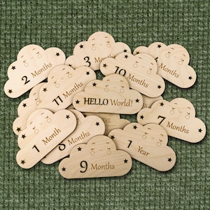 Cartes jalons en bois gravées rustiques pour bébé : séance photo mensuelle, faire-part de naissance - lot de 14 disques d'accessoires photo