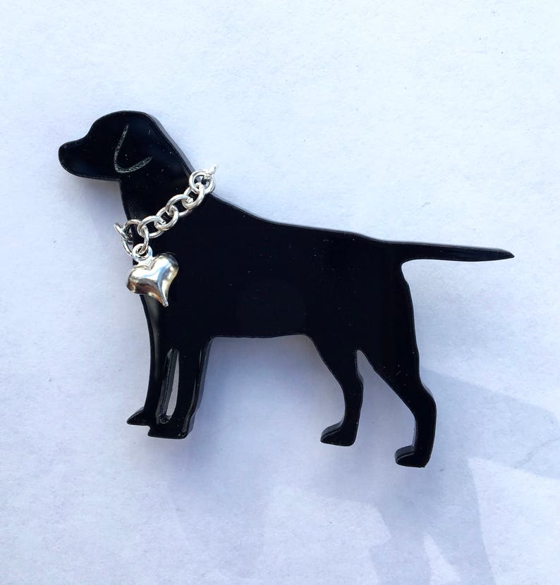 labrador chain collar