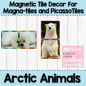 Arctic Animals Printable Magnetic Tile Stickers | Magna-Tiles, PicassoTiles, Generic Compatible | Classroom STEM | Instant Download