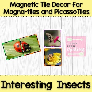 Op de afbeelding: Magnetische tegeldecoratie met afbeeldingen van insecten. Bevat een lieveheersbeestje, een vlinder en een bij. De tekst "Interesting Insects" staat onderaan. De tekst "Magnetic Tile Decor for Magna-tiles and PicassoTiles" staat bovenaan.
